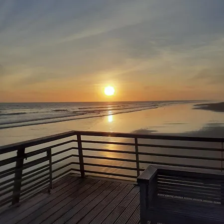 Face Reve De Flo Ts Daire *