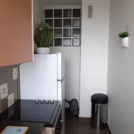 Face Reve De Flo Ts * 圣让-德蒙