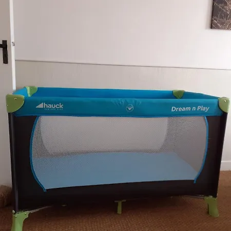 Face Reve De Flo Ts 圣让-德蒙