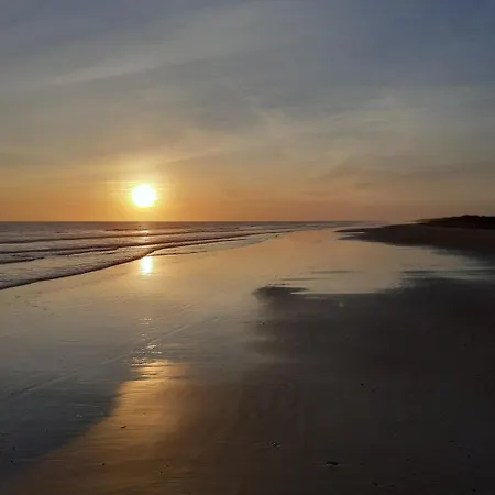 Face Reve De Flo Ts 圣让-德蒙