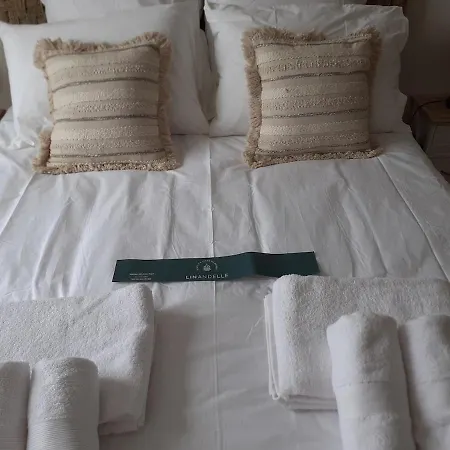 公寓 Face Reve De Flo Ts