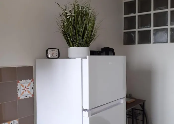 Face Reve De Flo Ts Saint-Jean-de-Monts