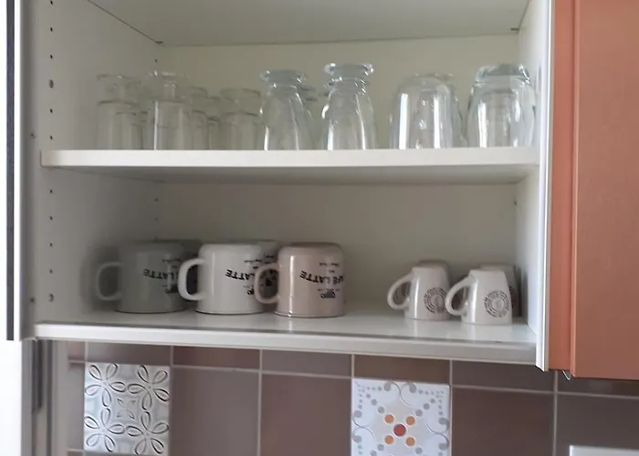 Face Reve De Flo Ts Apartment